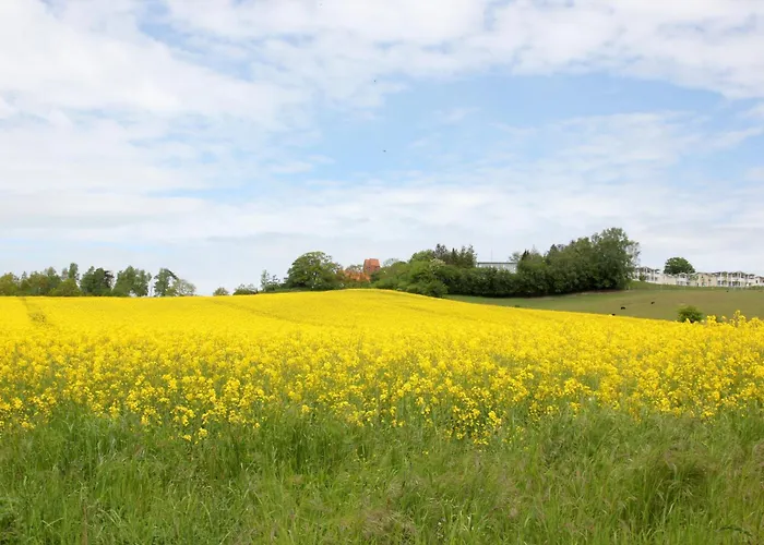 Appartement Karola 13 *
